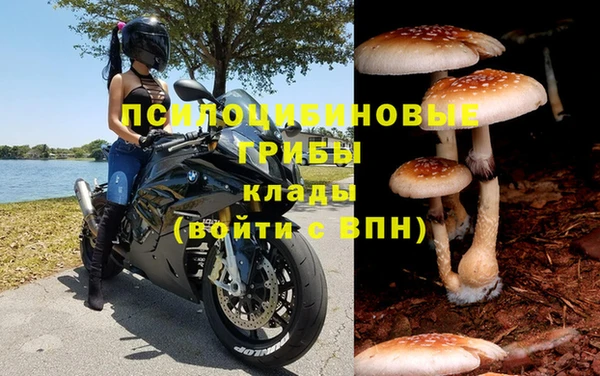 спиды Алексеевка