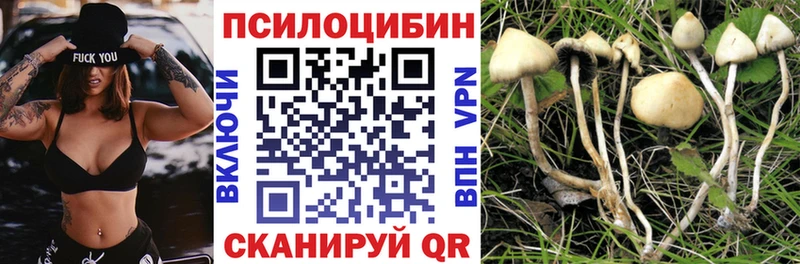 Галлюциногенные грибы прущие грибы  OMG ССЫЛКА  Дюртюли 